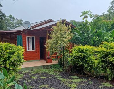 Las Candelas – Puerto Libertad