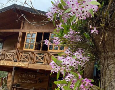 Cabañas, La Cristina, Montecarlo.